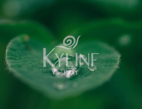 Filosofia KYLINF natura e innovazione